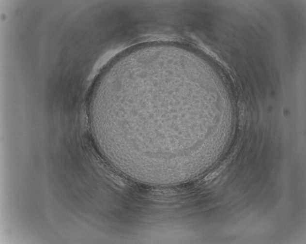 X0000071831215200607290034