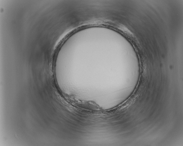 X0000071831216200607290034