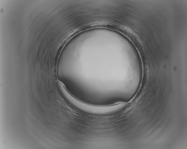 X0000071831217200607290034