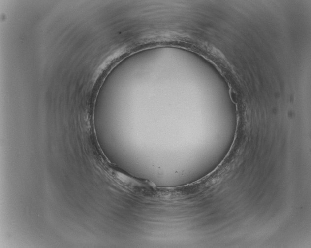 X0000071831218200607290034