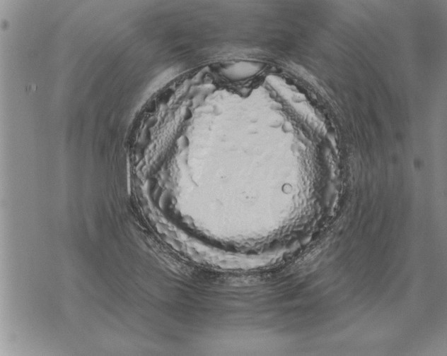 X0000071831219200607290034