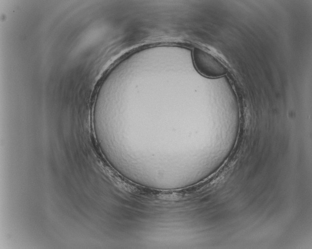 X0000071831220200607290034