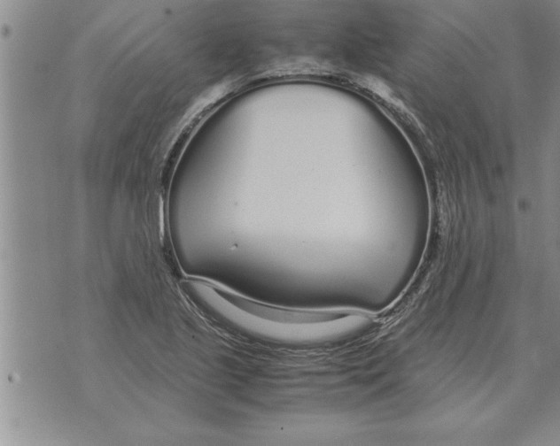 X0000071831221200607290034