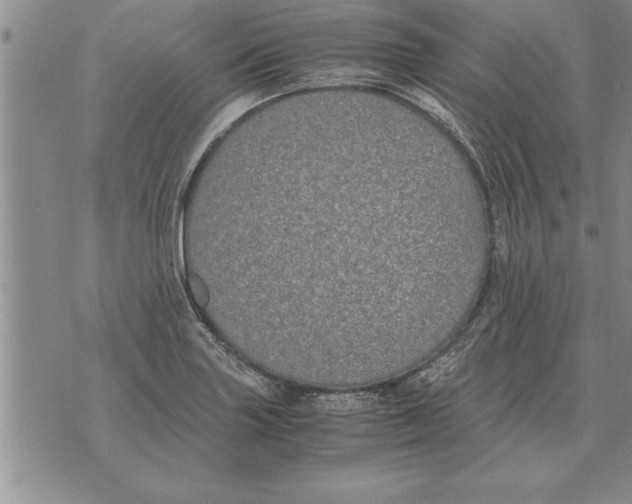 X0000071831227200607290034