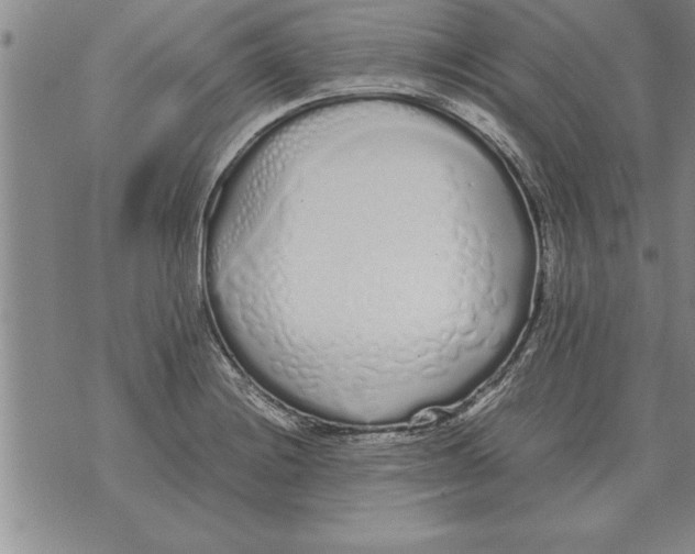 X0000071831228200607290034