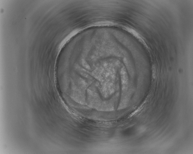 X0000071831229200607290034