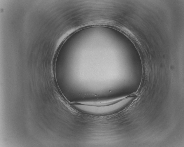 X0000071831230200607290034