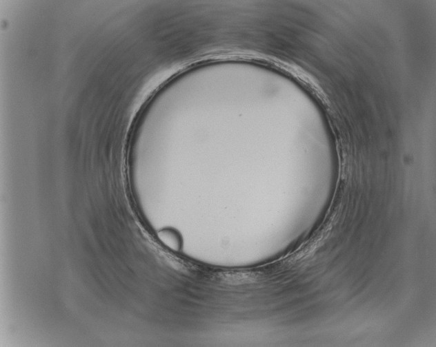 X0000071831231200607290034