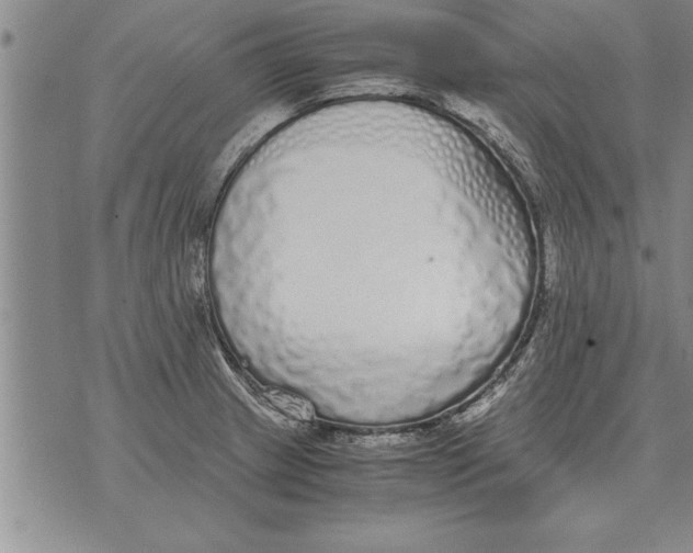 X0000071831233200607290034