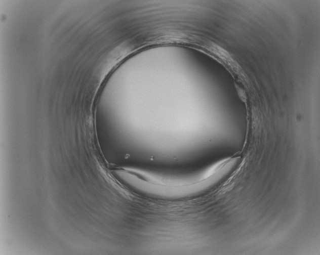 X0000071831234200607290034