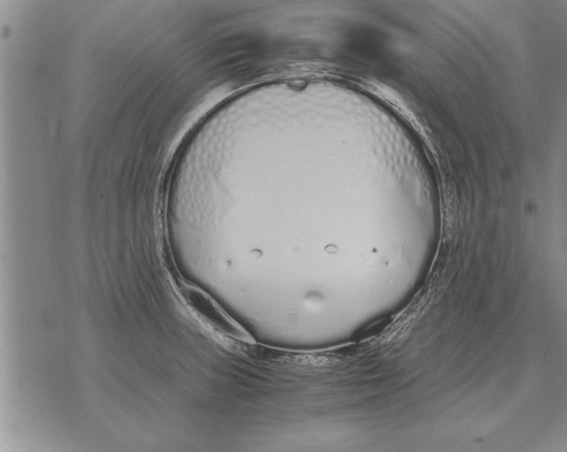 X0000071831235200607290034