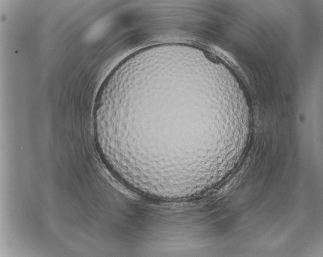 X0000071831236200607290034