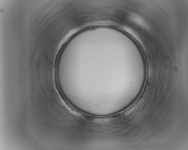 X0000071831237200607290034