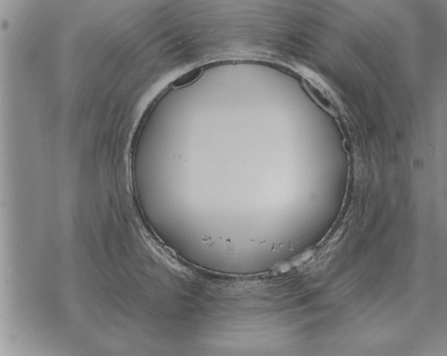 X0000071831238200607290034