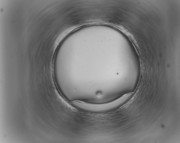 X0000071831239200607290034