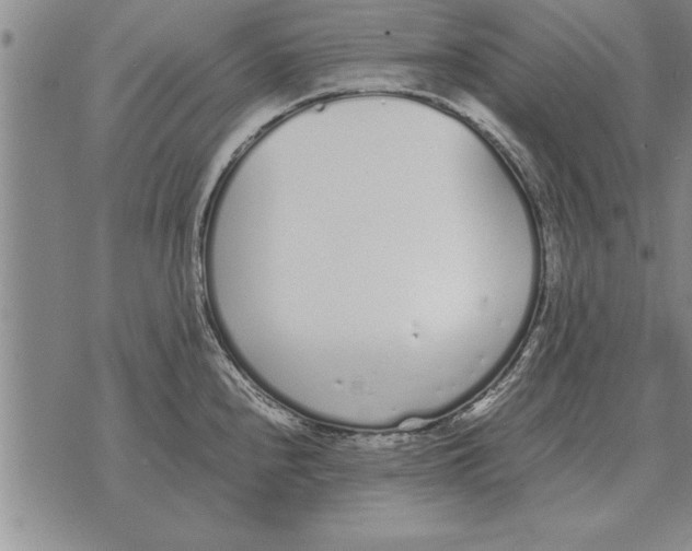 X0000071831240200607290034