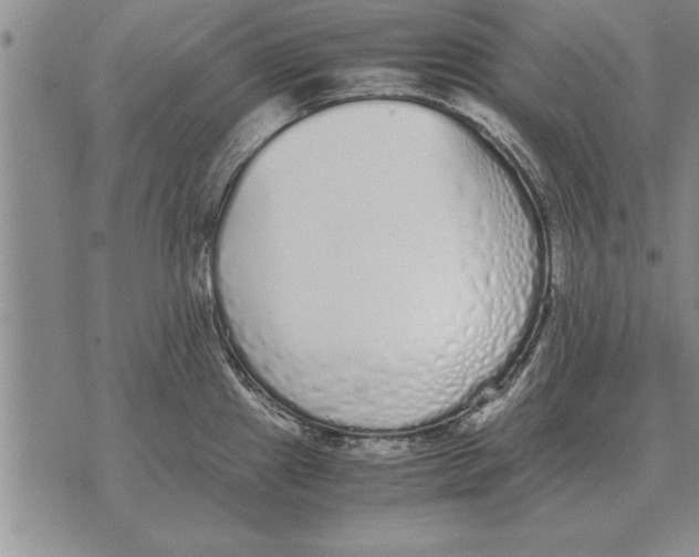 X0000071831241200607290034