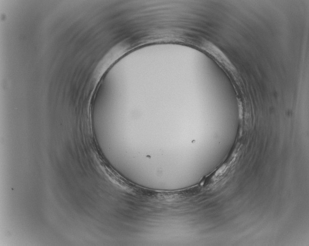 X0000071831242200607290034