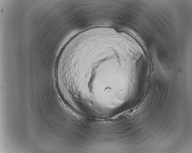 X0000071831243200607290034