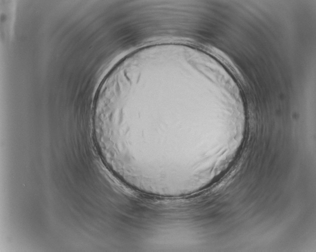 X0000071831244200607290034