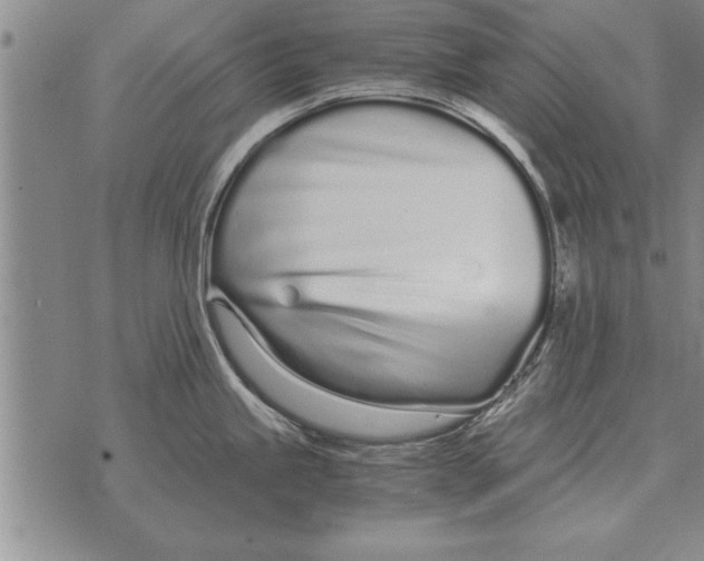 X0000071831245200607290034