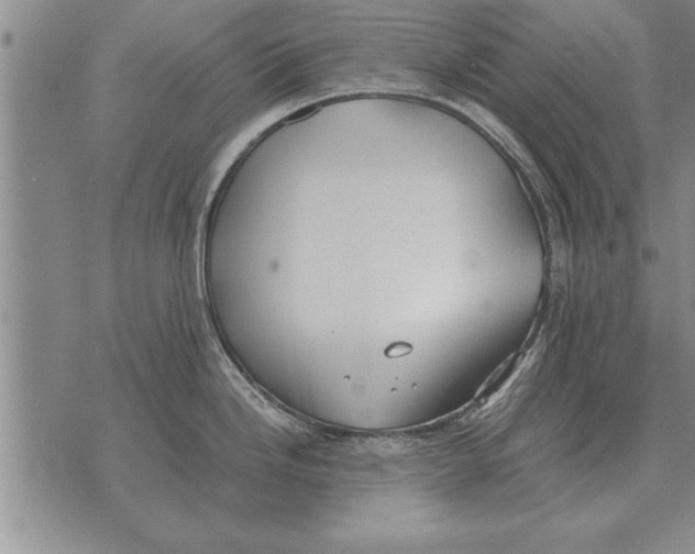 X0000071831246200607290034