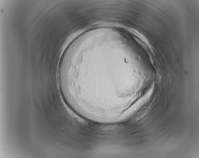 X0000071831247200607290034