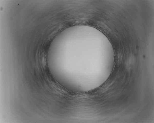 X0000071831250200607290033