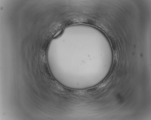 X0000071831251200607290033