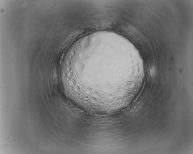 X0000071831252200607290033