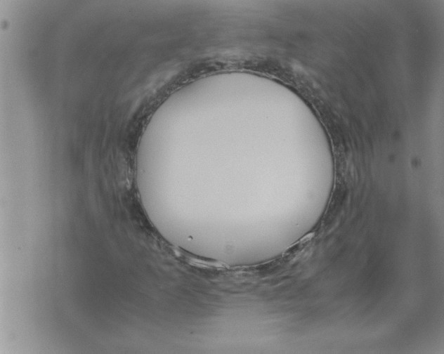 X0000071831253200607290033