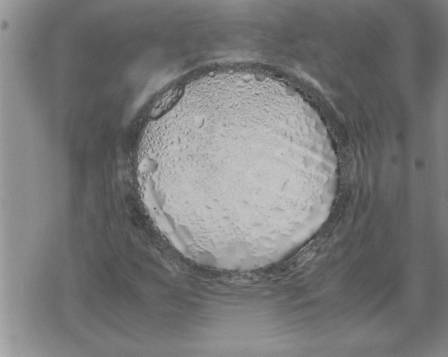 X0000071831255200607290033