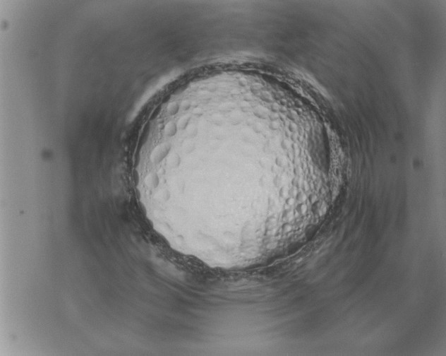 X0000071831256200607290033