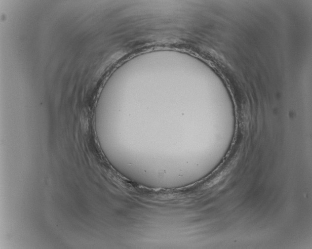 X0000071831257200607290033