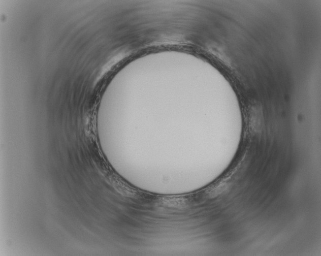 X0000071831258200607290033