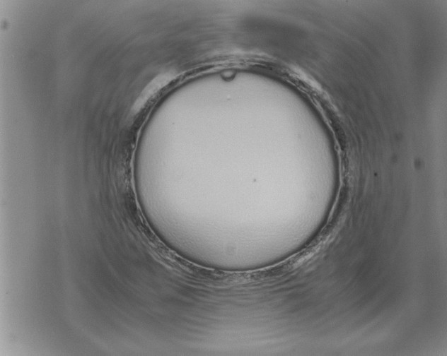 X0000071831259200607290033