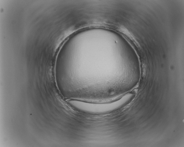 X0000071831260200607290033