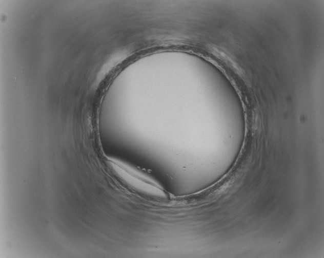 X0000071831261200607290033