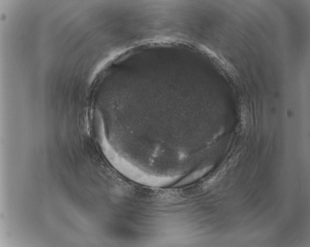 X0000071831262200607290033