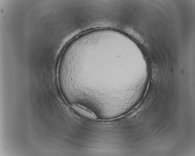 X0000071831264200607290033