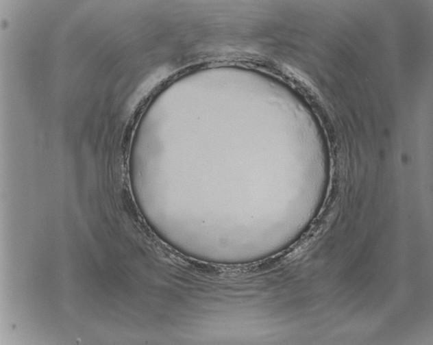 X0000071831267200607290033