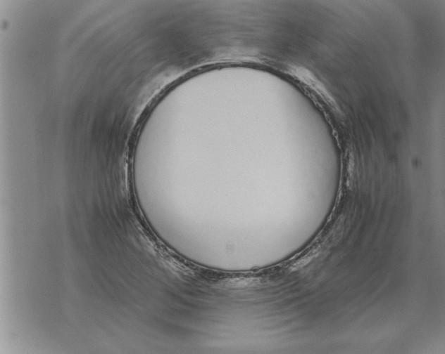 X0000071831268200607290033