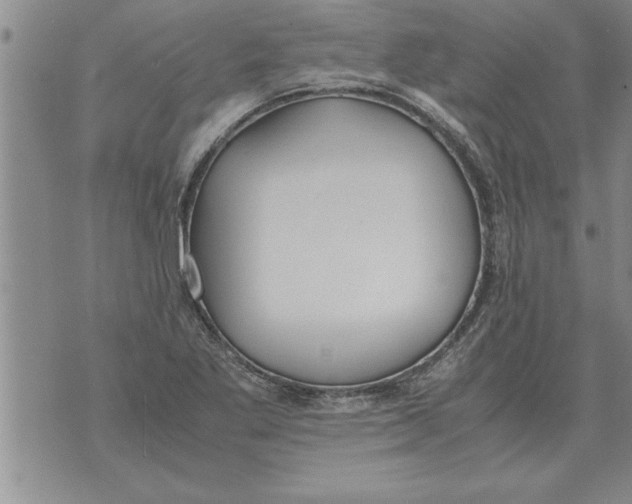 X0000071831269200607290033