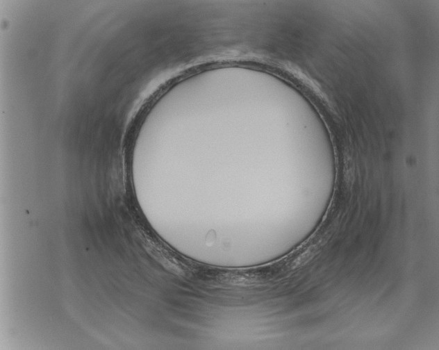 X0000071831270200607290033