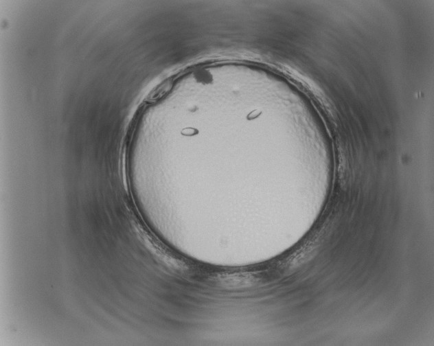 X0000071831272200607290033