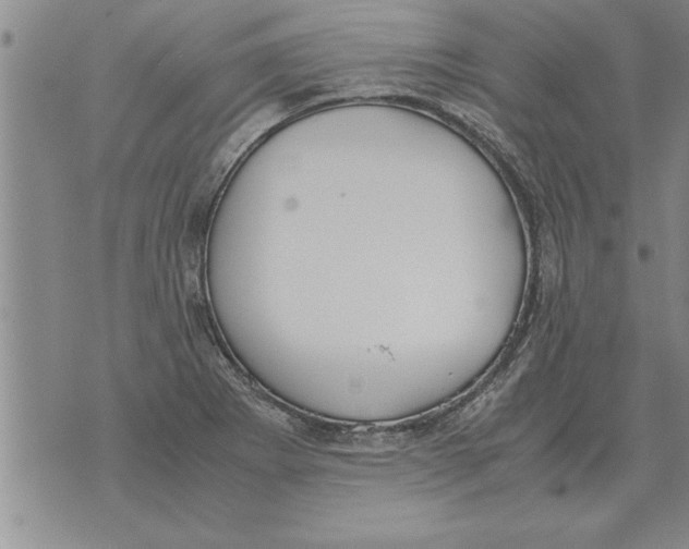 X0000071831273200607290033