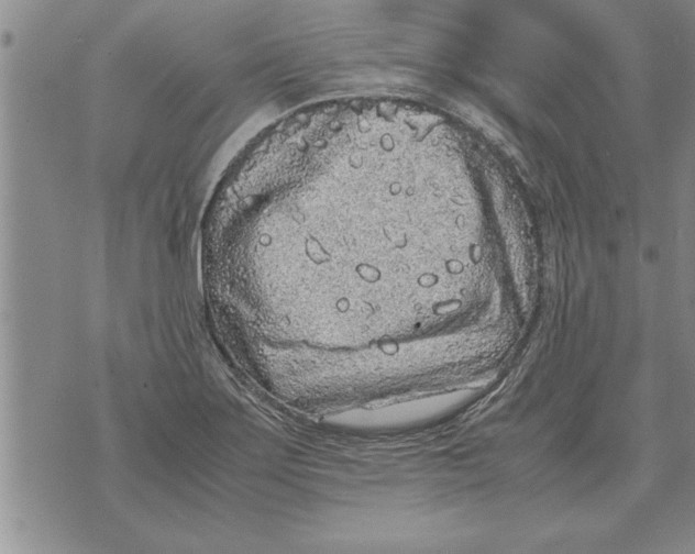 X0000071831275200607290033