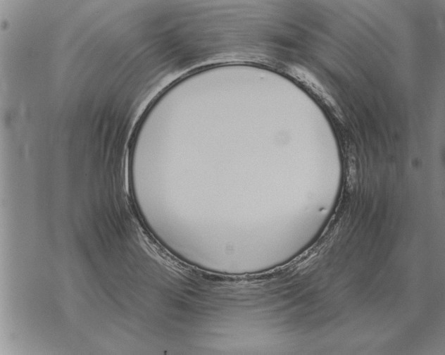 X0000071831276200607290033