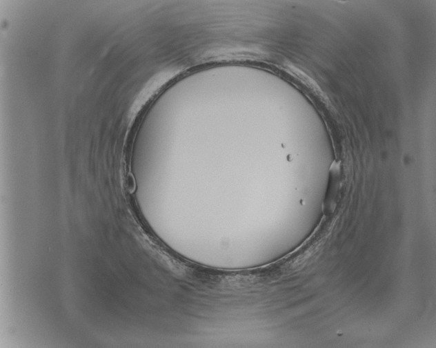 X0000071831277200607290033