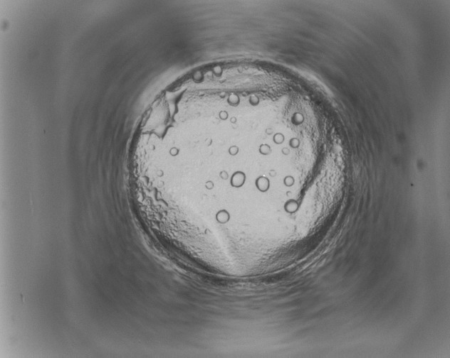 X0000071831279200607290033